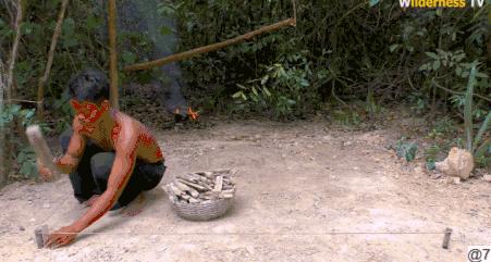 花三年建宠物乐园,花20万给狗打造乐园