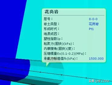 建筑工程bim建模由哪方做,工程bim建模用哪个软件