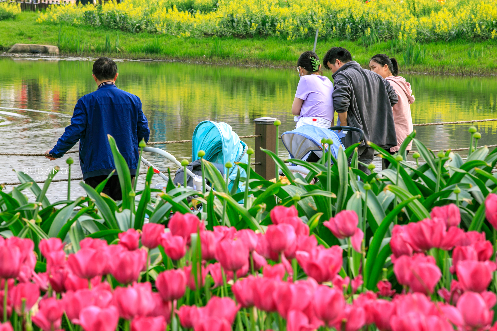 最值得去的鲜花小镇,距离武汉不远的景区