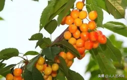 诸城简介,诸城是什么样的图片