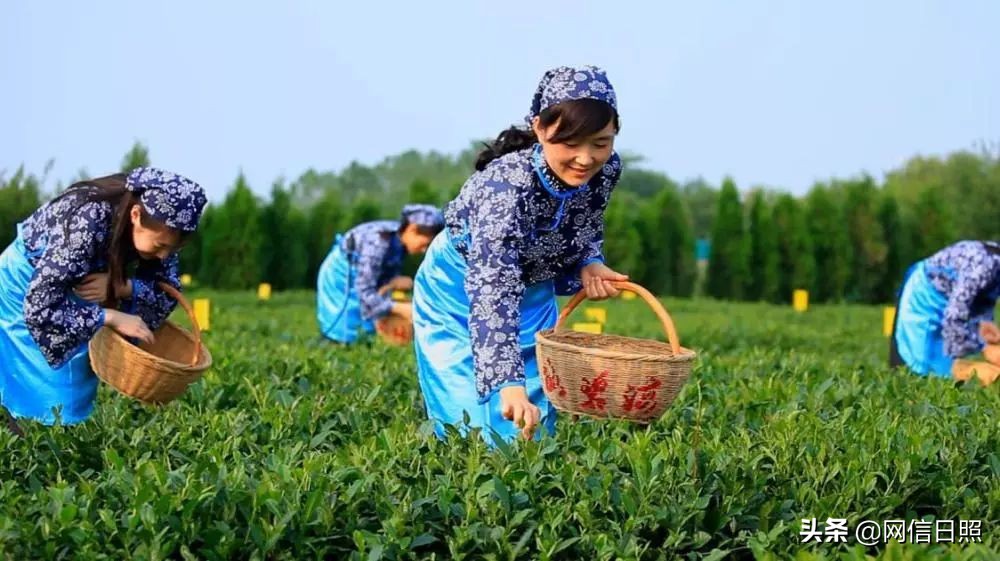 爱上日照的理由,爱上日照人的理由
