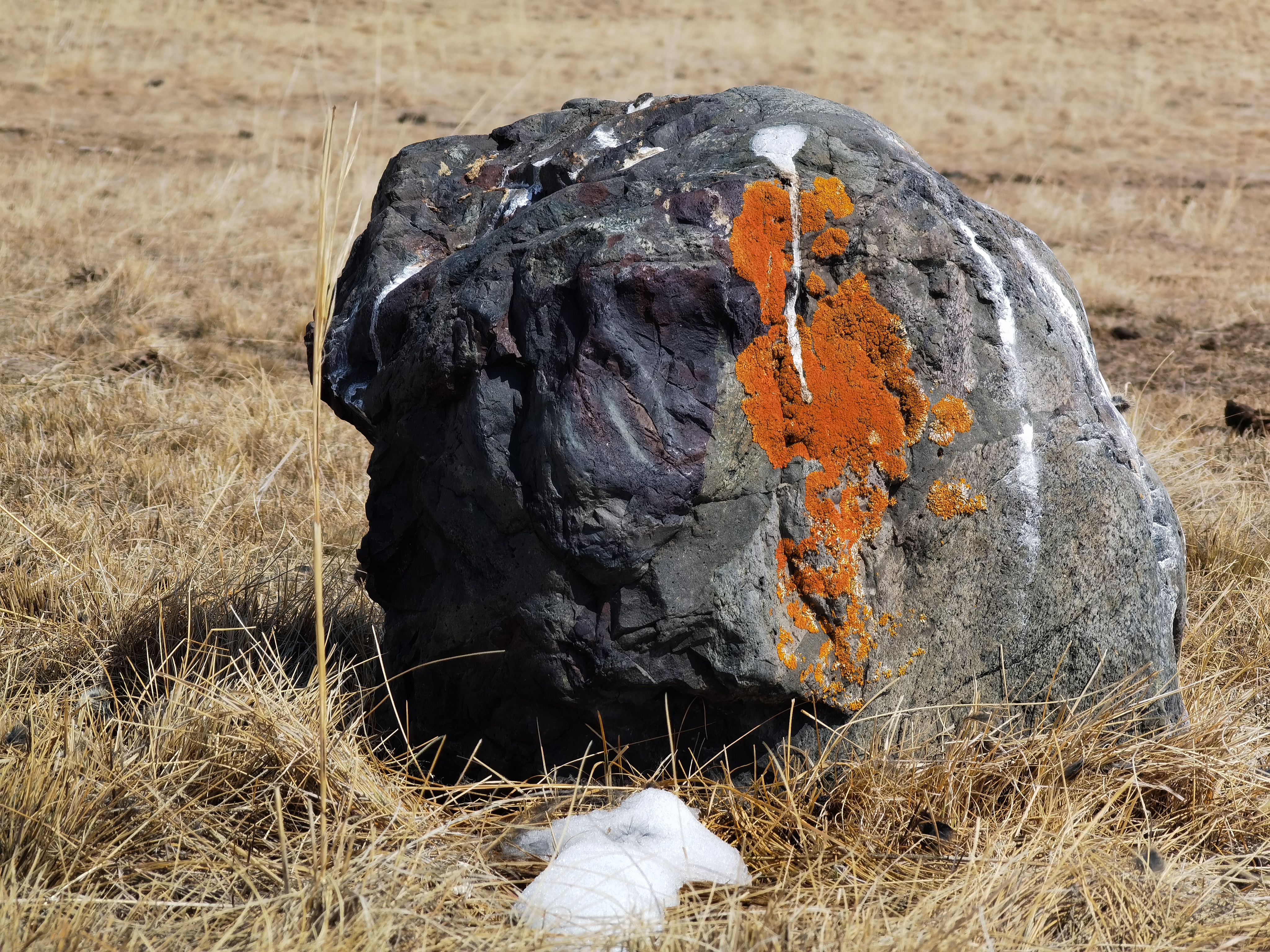 在新疆的美好生活,在新疆的幸福生活