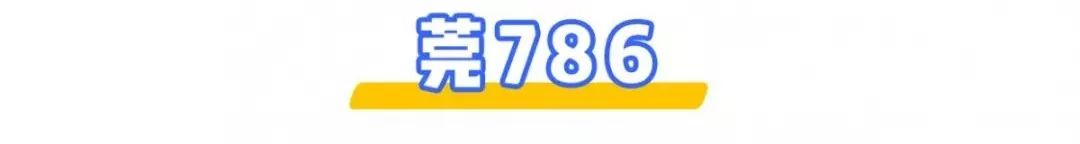 深圳东莞一线通公交,深圳东莞跨市公交