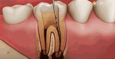 上海雅悦齿科,雅悦齿科医院简介