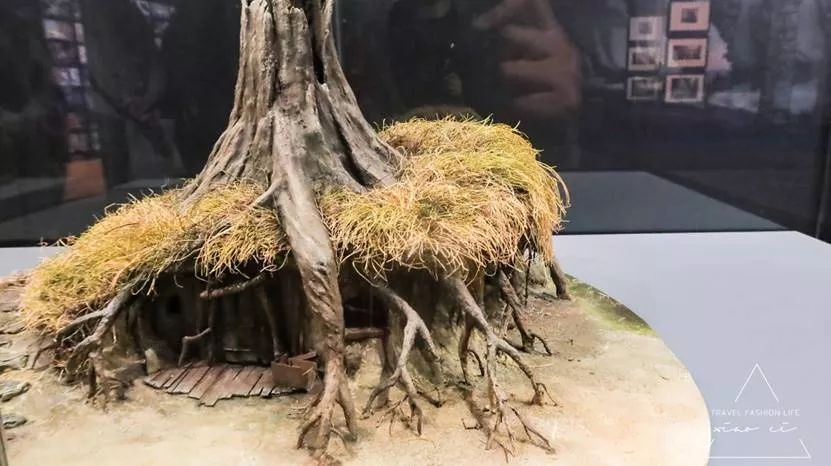 澳洲堪培拉景色,澳洲堪培拉动物园