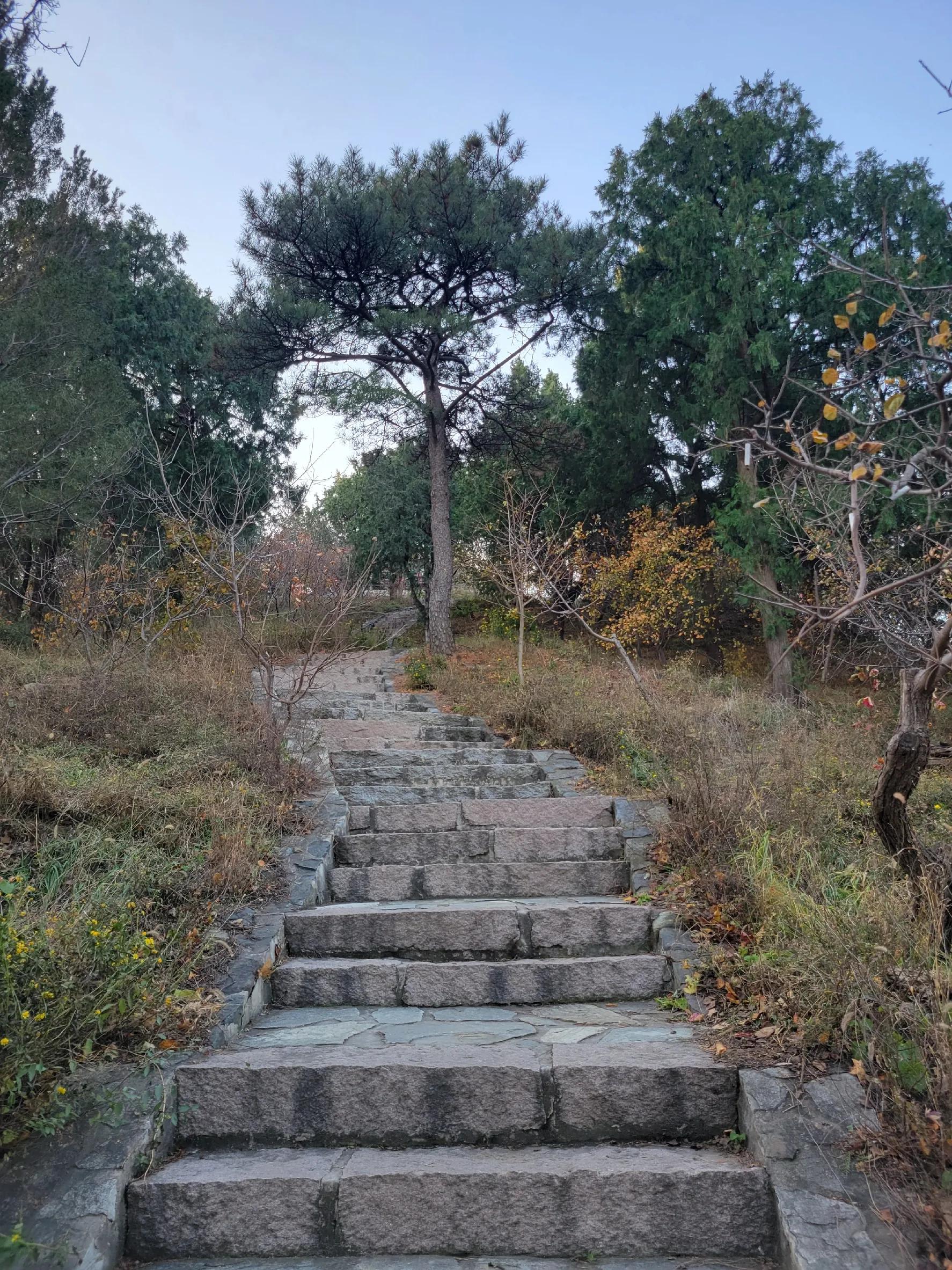 棣欏北涓轰粈涔堣繖涔堥,棣欏北浣犳潵浜嗗悧