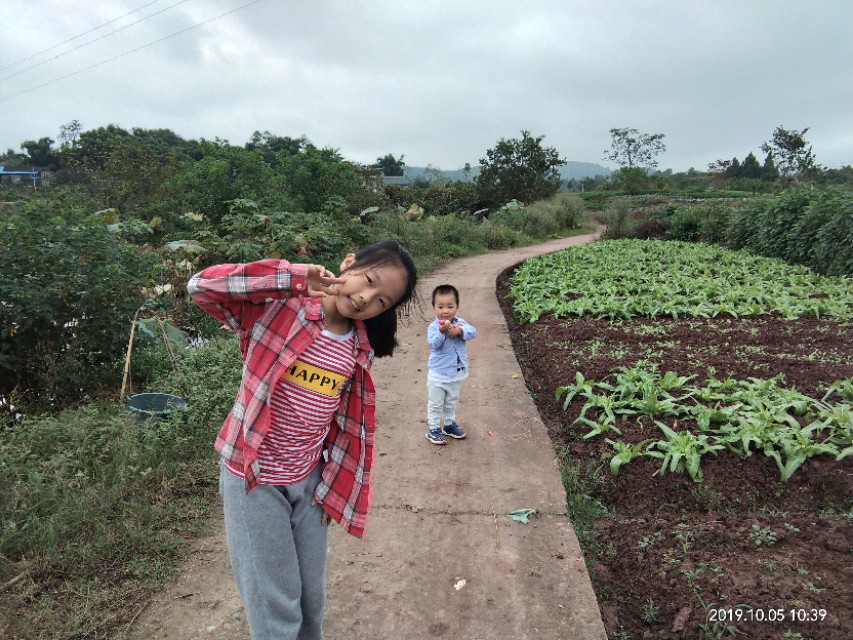 向往田园生活唯美诗句,向往的田园生活的感悟