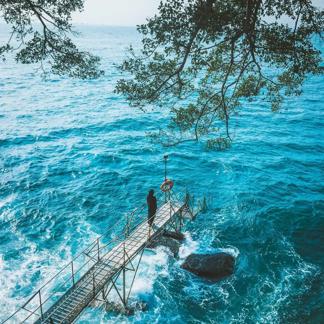 为什么很多广东人去香港,肇庆很多人去香港吗