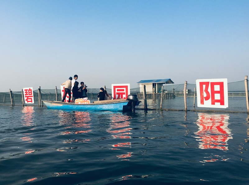 苏州阳澄湖吃蟹住哪个酒店,下榻酒店进餐