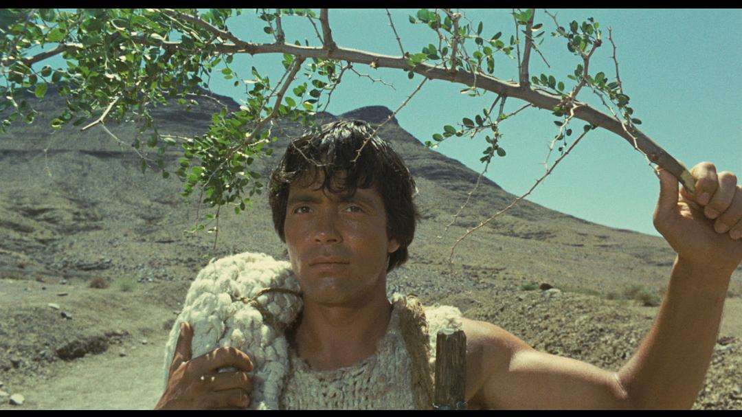 俄狄浦斯情结告诉你：复杂人际关系中，“冲突”背后有哪些秘密？