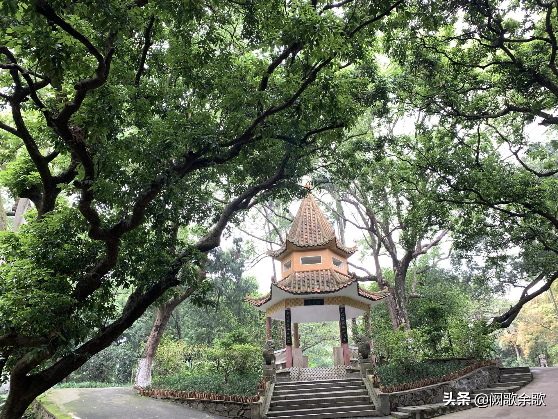珠海免费公园和旅游景点,珠海十大免费公园