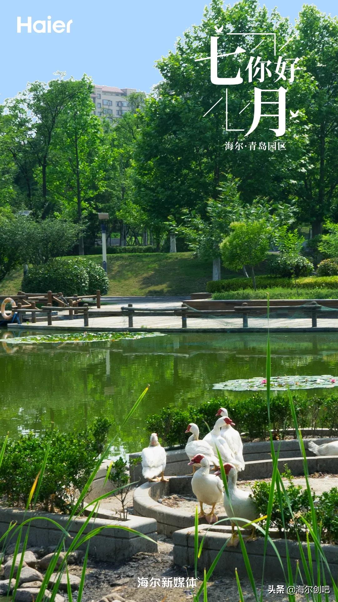 你好七月歌曲完整版,你好七月音乐视频