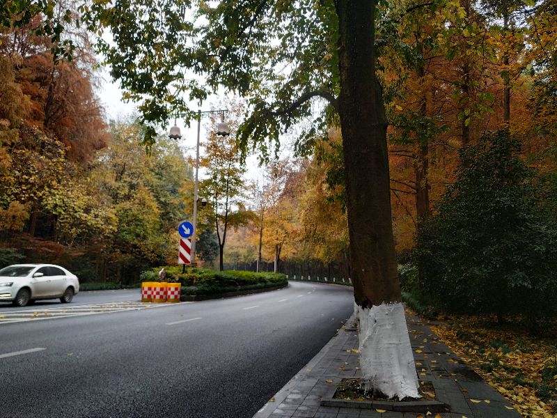 杭州市周末自驾游去哪里好玩,杭州出发周末旅游攻略