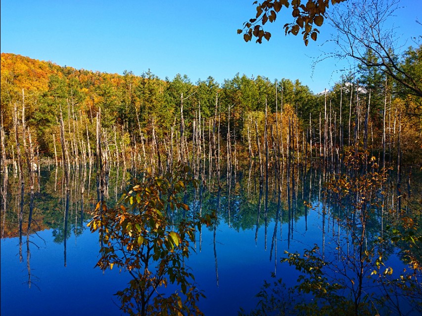 北海道登别到美瑛町需多久,日本北海道美瑛川的雪景