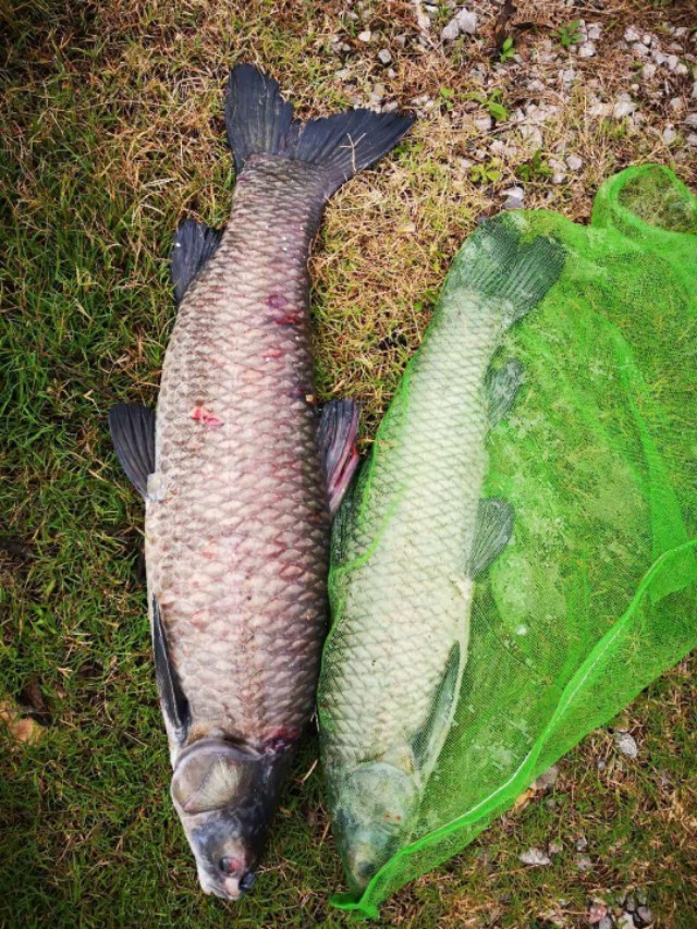 调漂高手,高手怎样调漂