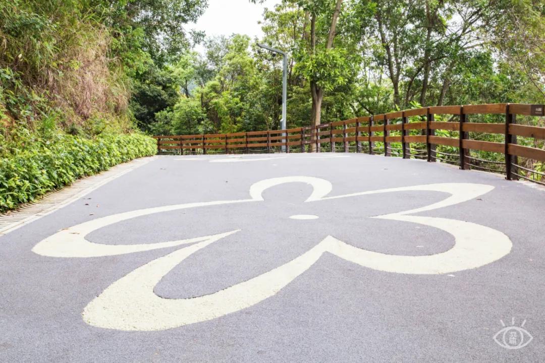 深圳这10条绿道你去过没,深圳十大绿道排行榜