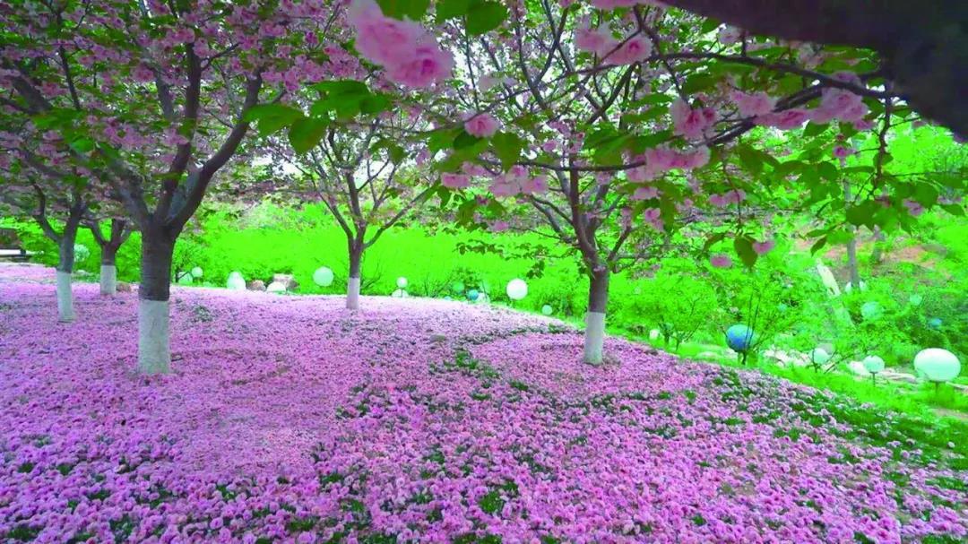 沈阳日报12月13日,沈阳新闻9月16日