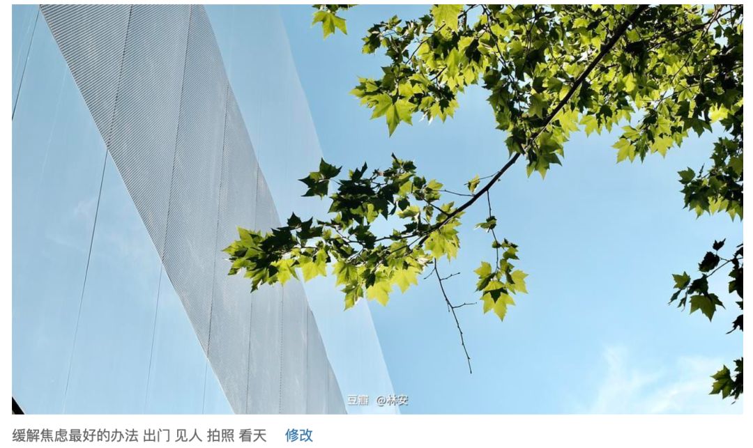 采访100个不上班但赚到钱的人,100个不上班的人都干什么