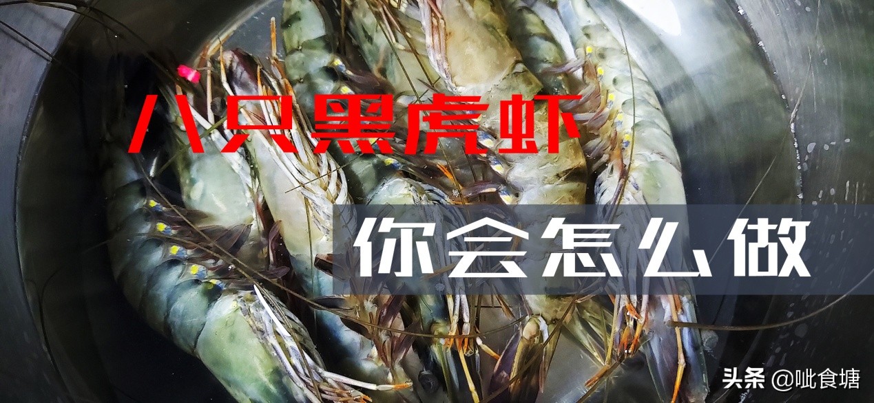 超级大黑虎虾最好吃的5种做法,大虎虾最好吃的5种做法