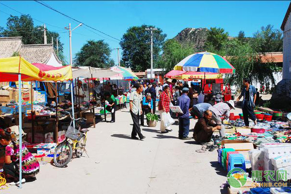 年关农村集市卖啥赚钱,年关将至在农村大集卖什么挣钱