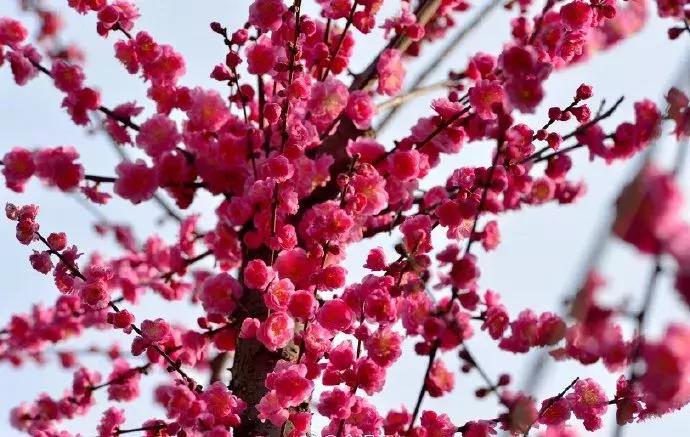 地铁万盛站将大变样,4000余岗位温江招聘会看这里!