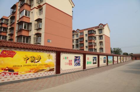 大树底下长草,大树下面长草吗