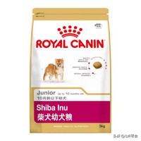 柴犬狗粮推荐掉毛多,柴犬狗粮推荐长肉