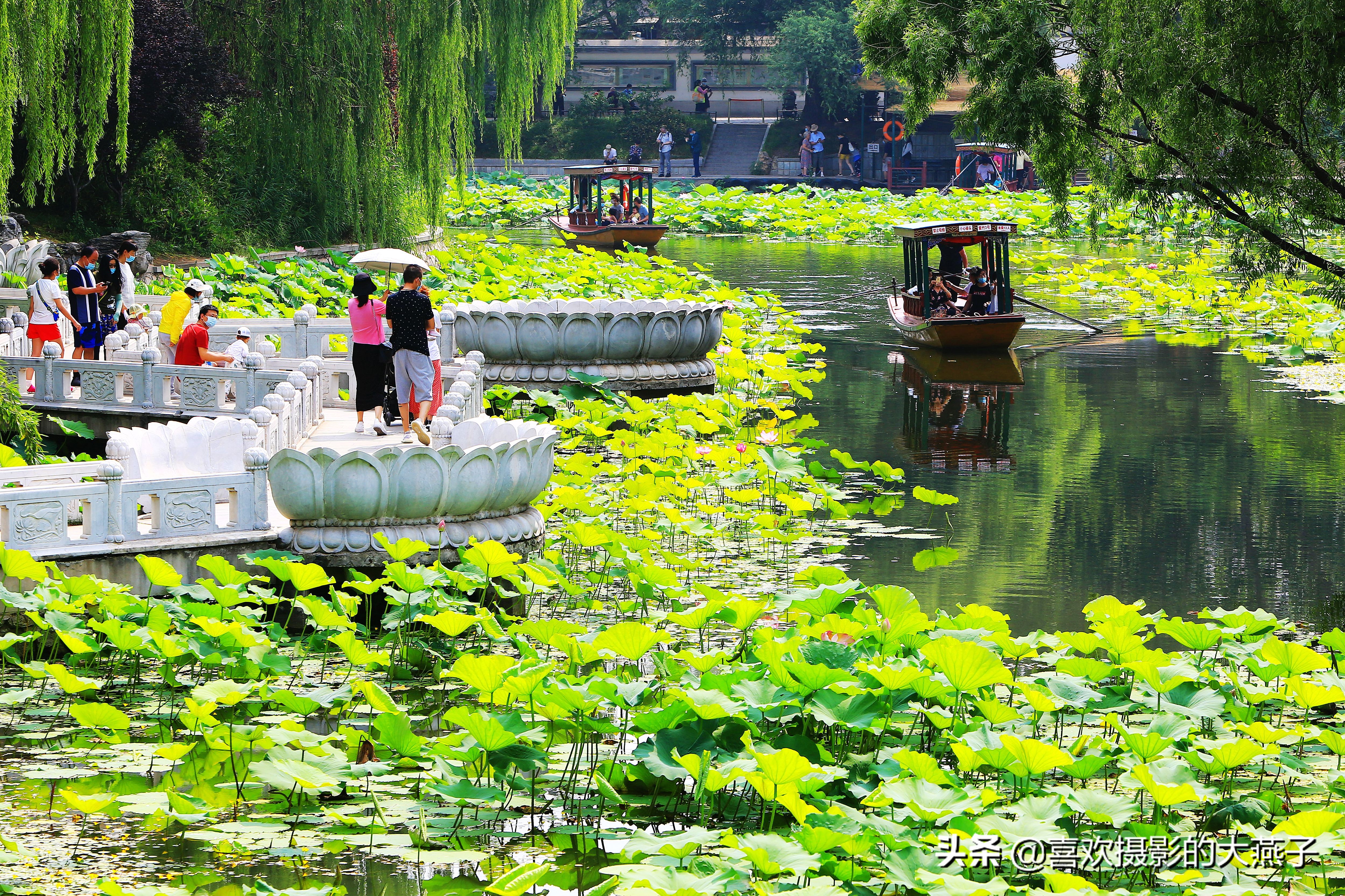 紫竹院京城景区,京城皇家御河紫竹院