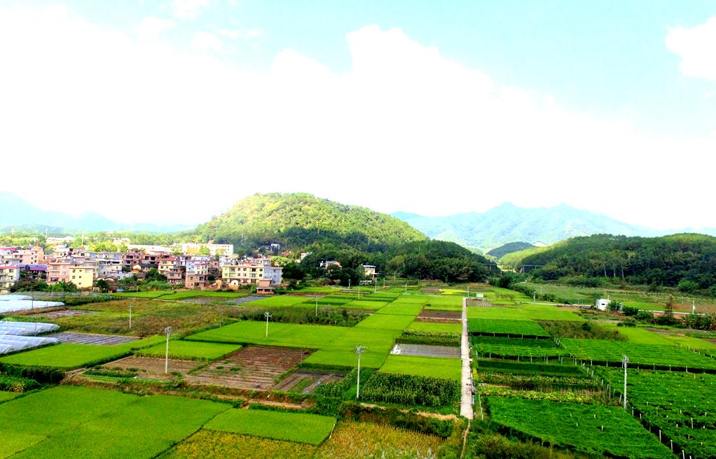 武平东留中学钟维雄老师：从教23年难忘的那些人和事