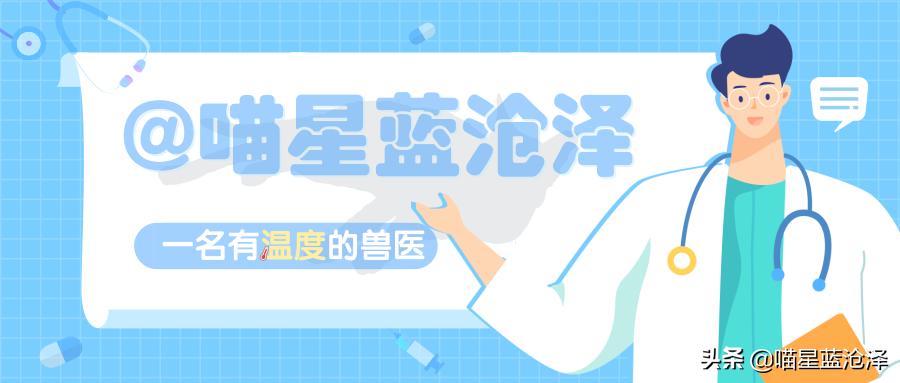 9岁狗狗凌晨4点突然狼嚎,狗狗半夜学狼叫什么意思