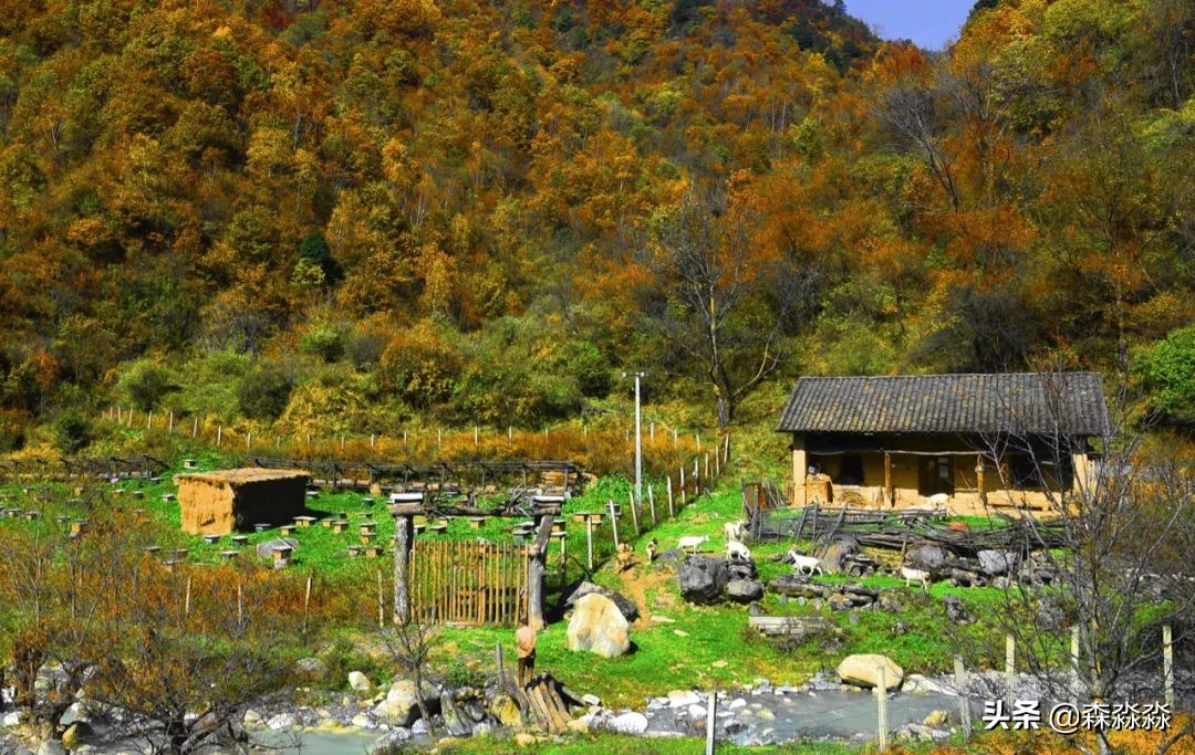 秦岭赏秋怎么玩才好玩呢,大秦岭山旅游攻略