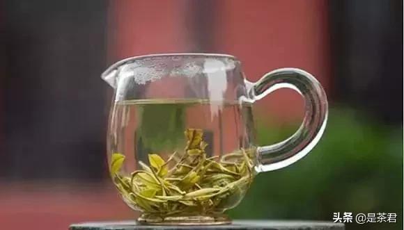 茶客入门必买茶具,泡茶茶具的选购指导