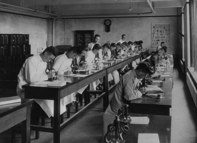 女儿死于瘟疫后，日本医生才发现中医能治“不治之症”，悔已晚