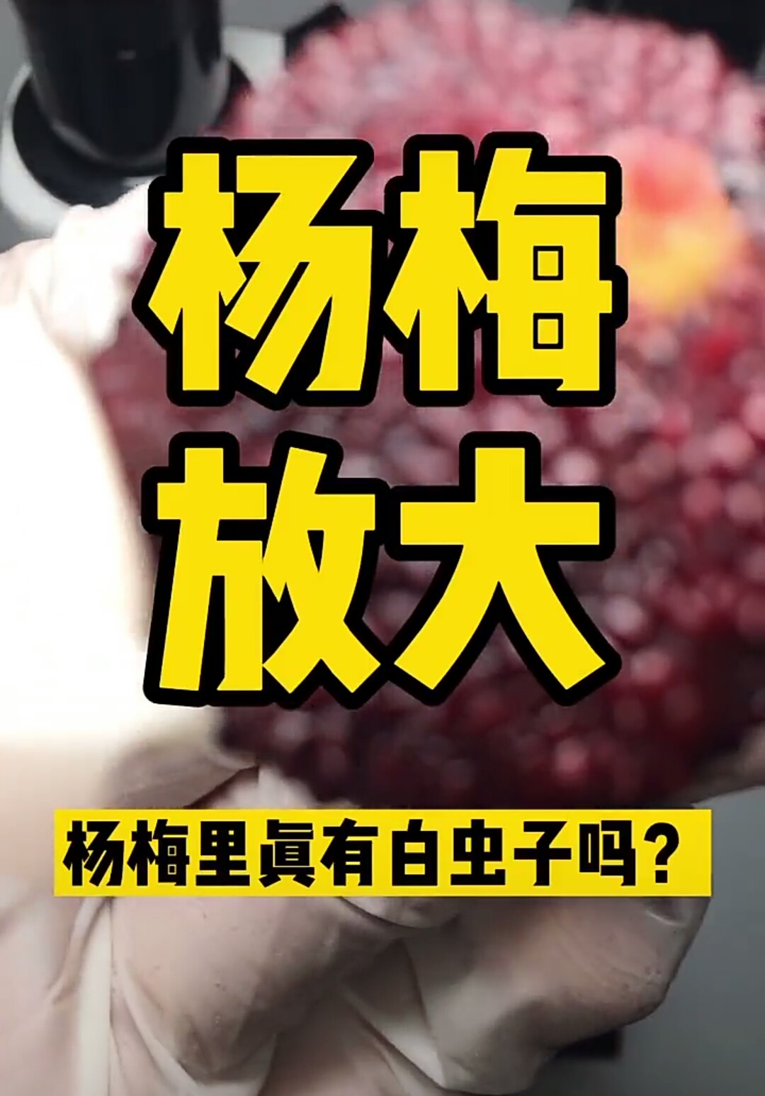 杨梅有农药味道怎么洗,杨梅里面的虫子真的能洗干净吗