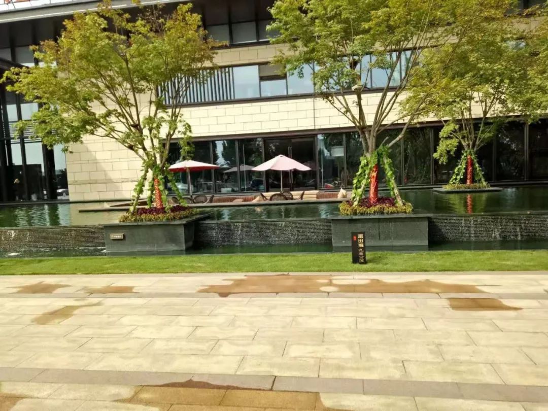 管南未来有什么新楼盘,管南有没有新开盘项目