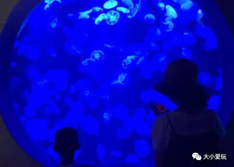 三亚旅游攻略必去十大网红酒店,三亚适合夏天去的酒店