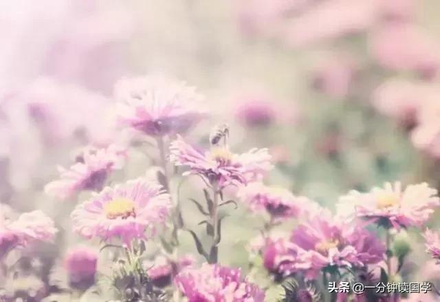 三伏天坐月子注意哪些事项,三伏天如何坐月子大人小孩不遭罪