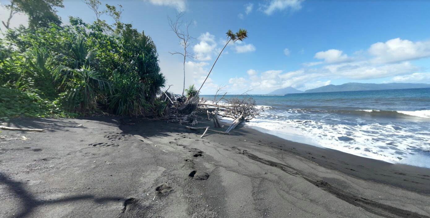 火山岛火山灰岛屿,一个全是巨型生物岛
