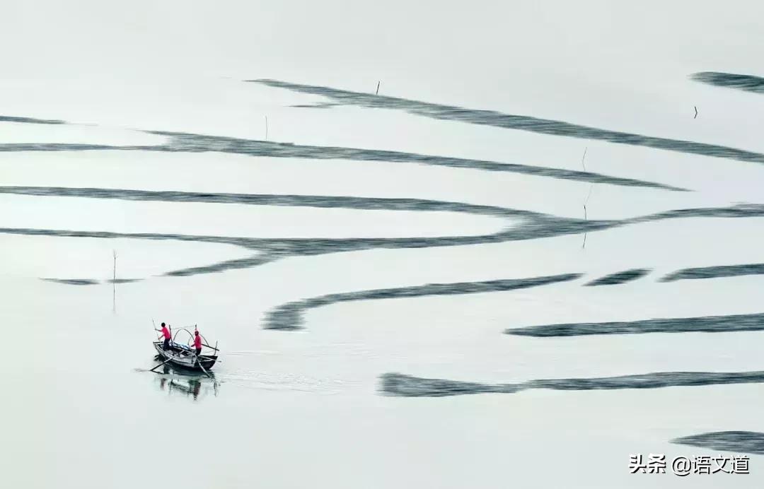 50组易混淆的成语你真的用对了吗,大公无私和铁面无私的辨析