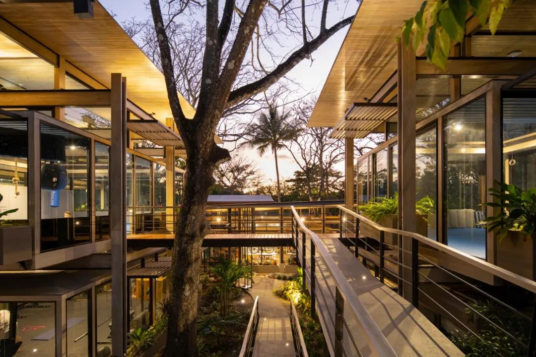 一个完全开放式的林中村落——哥斯达黎加体育中心