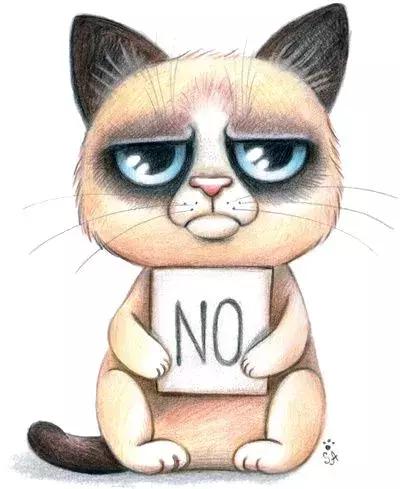 大学生在宿舍养猪被通报批评,大学生宿舍养宠物要处分吗