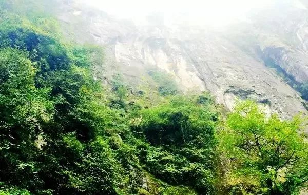 峨眉山降价最新消息,峨眉山的门票打折什么时候结束