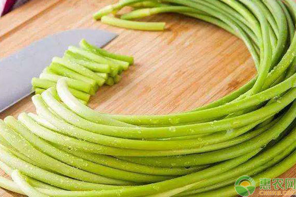 蒜苔价格今日行情山东,2019年全国蒜苔价格行情