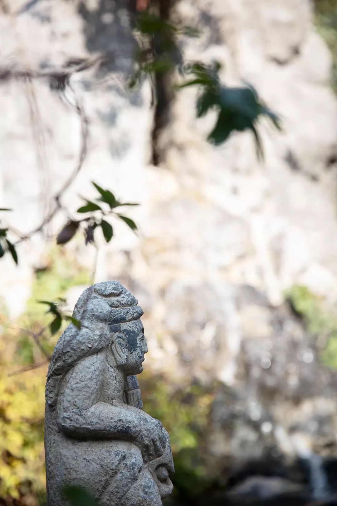 江苏苏州市绿都姑苏雅集楼盘详情,洛阳绿都中梁白鹭雅集项目质量