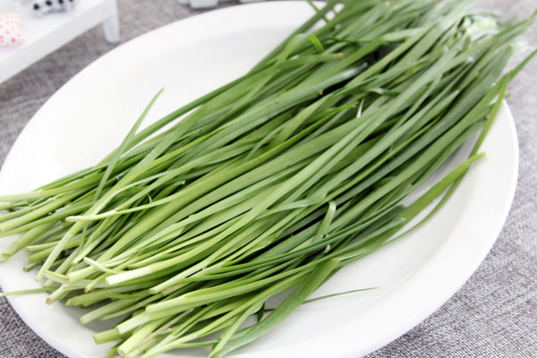 海狗丸男士,男性必备药海狗丸是什么药