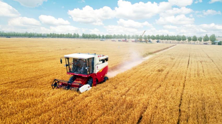 全面建成小康社会的伟大成就,全面建成小康社会政府的付出