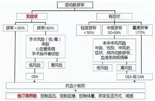 颈动脉堵了怎么办能治好吗,颈动脉感觉有点堵
