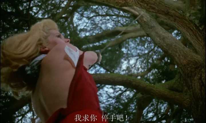 白日美人剧情解析,白日美人的深度解析