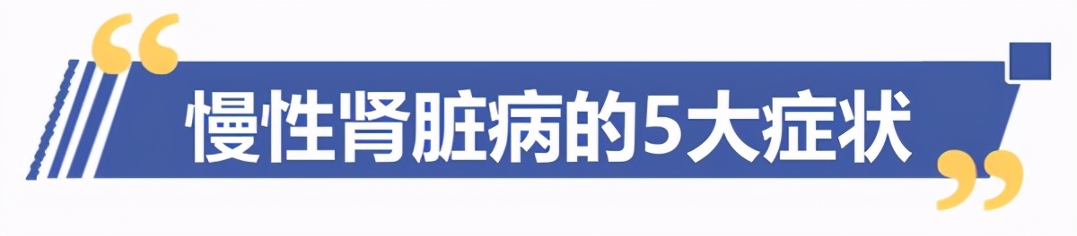 糖尿病肾脏疾病你真正了解吗,肾脏不容忽视