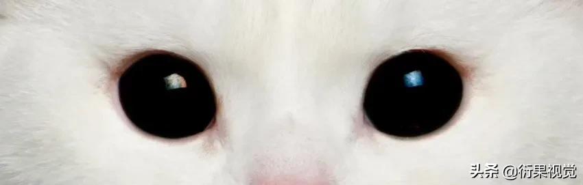 ps怎么把两只眼睛p成一样颜色,ps改图及抠图换背景颜色教程